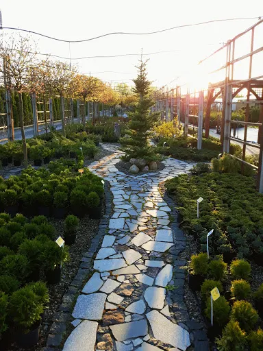 Ogród Brandwica - P.H.U.P Maciejak - Aranżacja Ogrodów